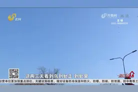 济南现“万鸟投林”奇观，成群鸟儿盘旋翱翔，专家：这是燕雀迁徙视频封面