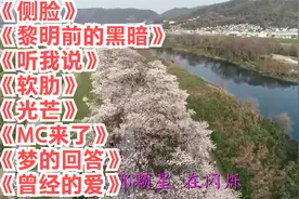 侧脸。黎明前的黑暗。听我说。软肋。光芒。MC来了。梦的回答。视频封面