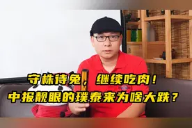 中报靓眼的璞泰来为何大跌？视频封面