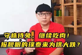 中报靓眼的璞泰来为何大跌？