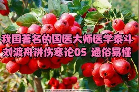 我国著名的国医大师医学泰斗 刘渡舟讲伤寒论05 通俗易懂视频封面