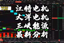 江特电机，大洋电机：最新分析视频封面