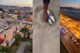 南极强震后智利又发5.7级地震：民众逃难沙滩现死鱼 警车大喊撤离视频封面