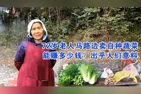 72岁老人马路边卖自种蔬菜，能赚多少钱？出乎人们意料视频封面