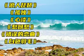 《浪人琵琶》《孤独》《心淡》《愁呀愁》《错误的恋曲》
