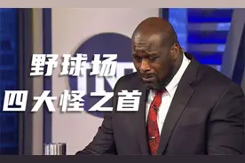 这胖子会打球吗？野球场四大怪之首视频封面