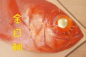 世界上眼睛最漂亮的鱼，大眼红鱼—金目鲷视频封面