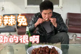 农村大哥地里生活半个月，今天终于是吃上肉了，麻辣兔，带劲的很视频封面
