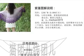 【图解视频】紫堇--渐变弧形披肩~（第三节：菠萝花第一部分~~）