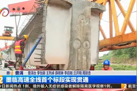 墨临高速全线首个标段实现贯通视频封面