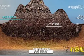 垃圾填埋场停用后，如何进行生态修复？来听专家聊一聊|走近科学视频封面