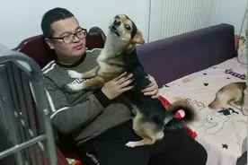 一会见不着主人，看看小黑小黄啥反应，就像小孩一样！主人好幸福