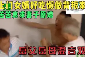 上门女婿好吃懒做背叛家庭，苦苦哀求妻子原谅，岳父岳母混合双打视频封面