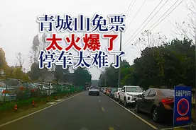 青城山免门票太火爆，不准开上山，停车太难，看到观光车就秒懂了视频封面