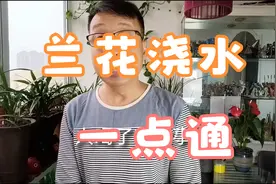 什么水能浇兰花，怎么浇？兰友：太实用了视频封面