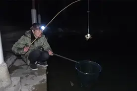 晚上河里河蟹横行，小艳用猪肉做饵，一钓一个准，过程好玩又新奇视频封面