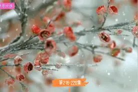 《雪中行》多人有声书（第216-220集）热门网络小说视频封面