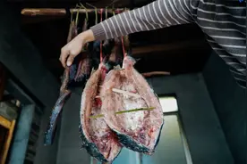 小哥买了两条大鲤鱼来，制作熏干鱼吃，光看封面都让人好有食欲！视频封面