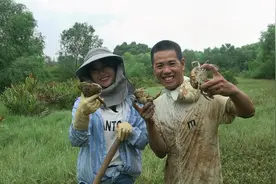 小池和阿渔妹冒雨赶海挖螃蟹，被雨淋成落汤鸡，还抓到不少青蟹视频封面
