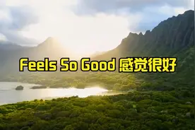 经典怀旧轻音乐《Feels So Good 感觉很好》！视频封面