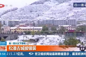 四川又下雪啦！雪中的黄龙景区，玉树琼花别样美视频封面