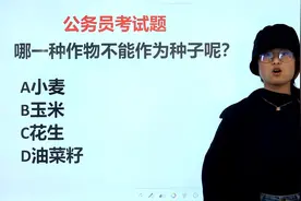 公考常识判断题，“小麦玉米花生油菜籽”，哪个不能作种子呢？视频封面