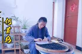 何首乌为九大仙草之一，黄酒九蒸九晒有点甜，据说种盆栽还聚财！视频封面