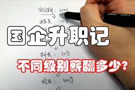 国企升迁机制？每个级别对应薪酬多少？视频封面