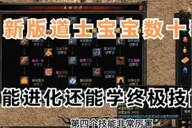热血传奇：新版道士宝宝数十种，能进化还能学终极技能！视频封面