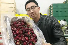 大家吃到的大樱桃是口感最好的吗？吃大樱桃给大家3个推荐！视频封面