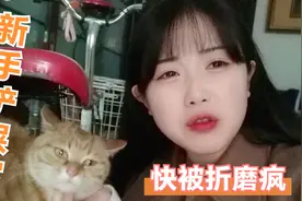 妹子作为新手铲屎官啥也不懂，猫咪半夜不停叫还咬人，到底是咋了