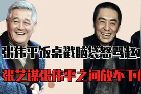 张伟平饭桌戳脑袋怒骂赵本山，张艺谋张伟平之间放不下的仇视频封面