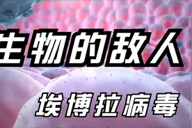 埃博拉病毒的危害究竟有多大视频封面