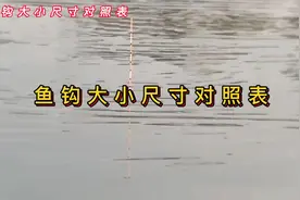 鱼钩大小尺寸对照表视频封面
