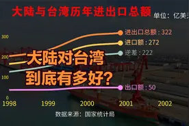 台湾25年赚大陆2万亿美元！回顾历年两岸进出口贸易数据变化视频封面