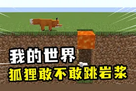 我的世界：狐狸敢不敢跳岩浆，只要小鸡在里面，它就敢扑进去
