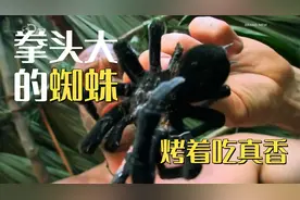 超硬核 开局一个裤衩 在原始森林生活7天 你能做到吗？视频封面