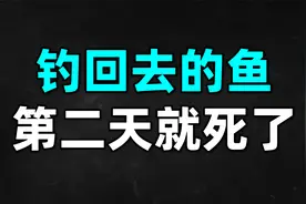 为什么钓回去的鱼第二天就死了？老师傅分享半个月鱼都不死的方法视频封面