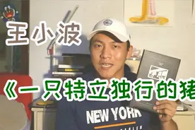 Daily·6 王小波《一只特立独行的猪》视频封面