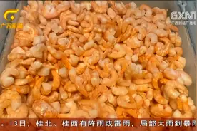 进口冻南美白虾包装检出新冠病毒 还能放心吃虾吗？