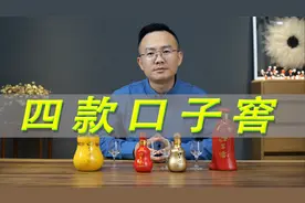 白酒评测：口子窖6年、口子窖10年、口子窖20年、口子窖30年视频封面