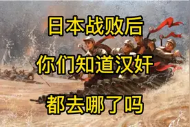日本战败后，汉奸都去了哪里？下场如何？视频封面
