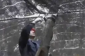 农博：林下反季种香菇，对林地要求很高，林中树荫面积要达到八成视频封面