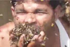 口“吃”蜜蜂！衣“塞”活蜂！印度采蜜人堪称蜂巢毁灭者