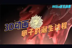 动画演示卵巢排卵全过程，原来卵子是这么来的啊
