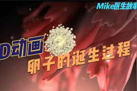 动画演示卵巢排卵全过程，原来卵子是这么来的啊视频封面