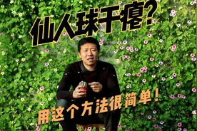 仙人球越养越“干瘪”，掌握1个小窍门，恢复快速，还能开满花！视频封面