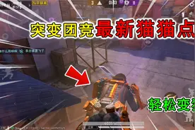 和平精英揭秘：突变团竞“猫猫点”，趴在C区遮阳棚，轻松变猎手视频封面