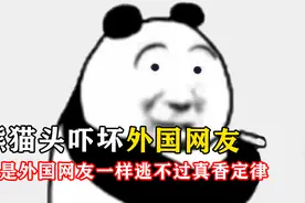 熊猫头表情包吓坏外国网友，长着人脸的熊猫不可爱吗？视频封面
