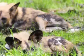 有时候，我喜欢眼睁睁地看着时间，一秒一秒流逝，我无能为力。